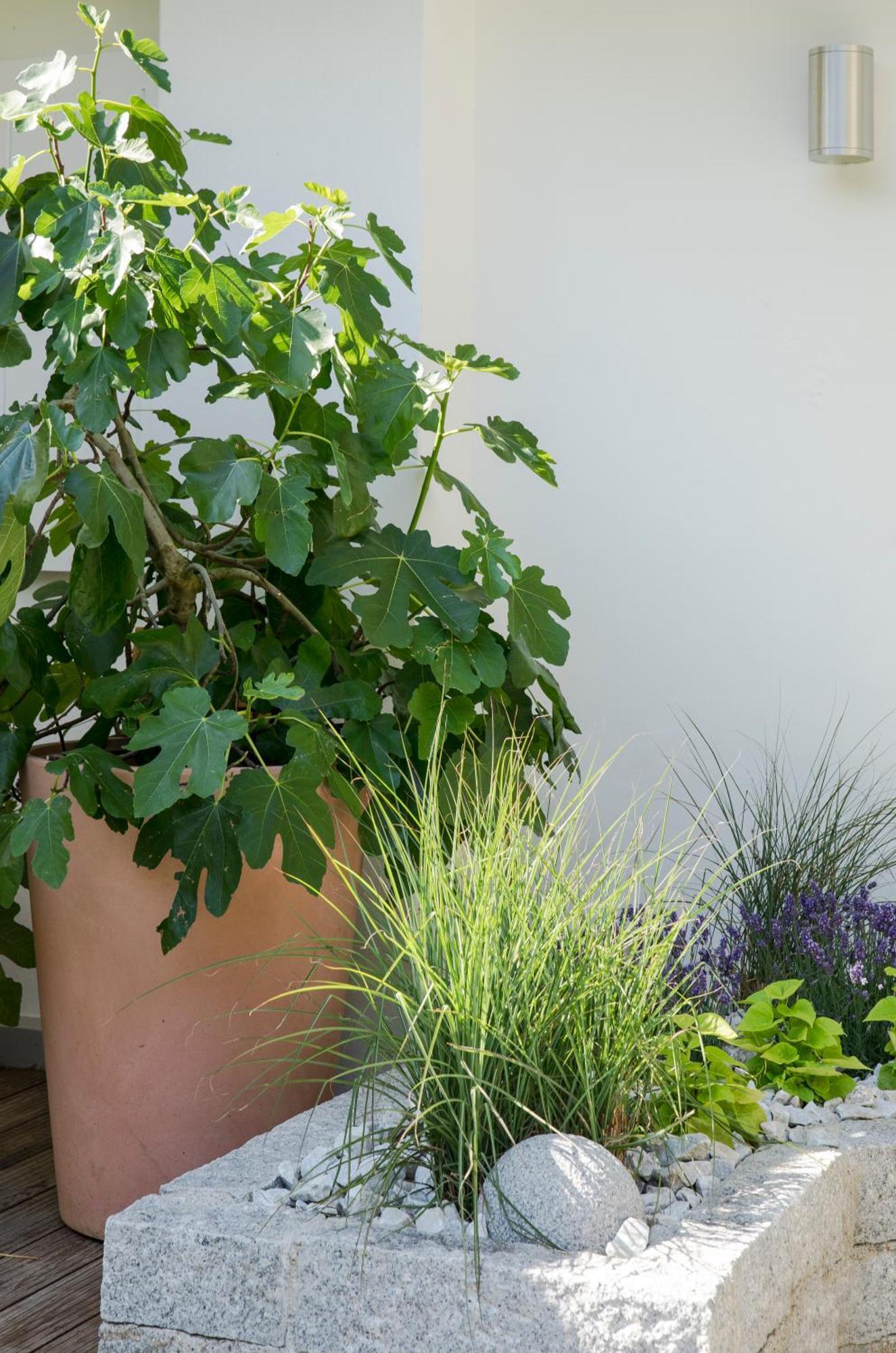 Haus Sibylle 3*